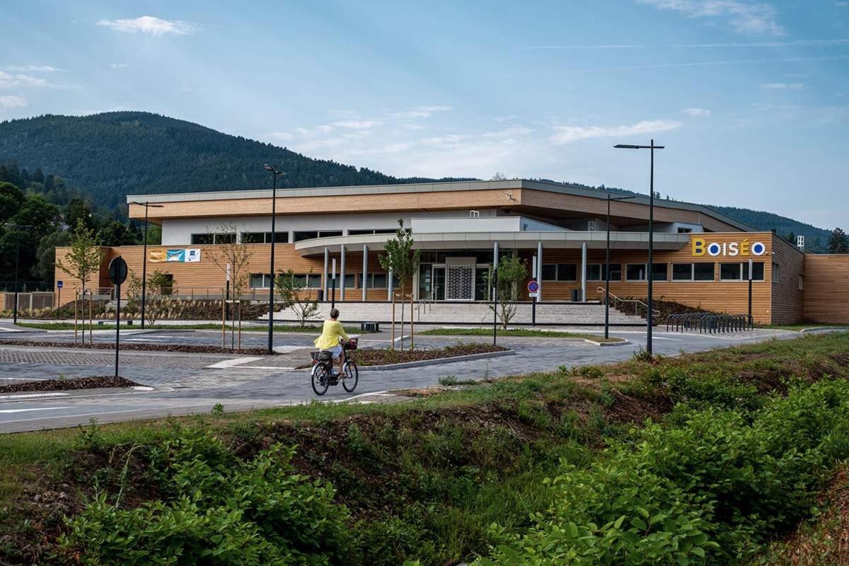 Le Gite Du Chateau Dans Le Centre De Schirmeck Εξωτερικό φωτογραφία