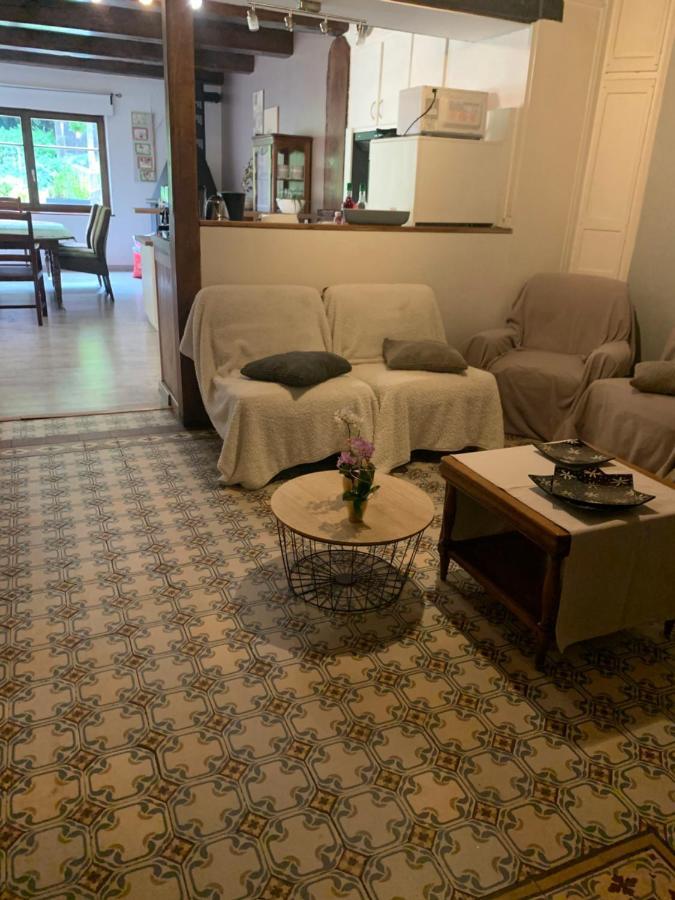 Le Gite Du Chateau Dans Le Centre De Schirmeck Εξωτερικό φωτογραφία